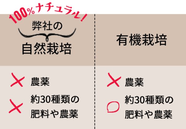 画像2: 深煎りコーヒー　粉 (2)