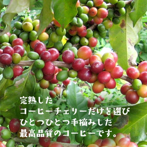 画像3: 深煎りコーヒー　粉 (3)