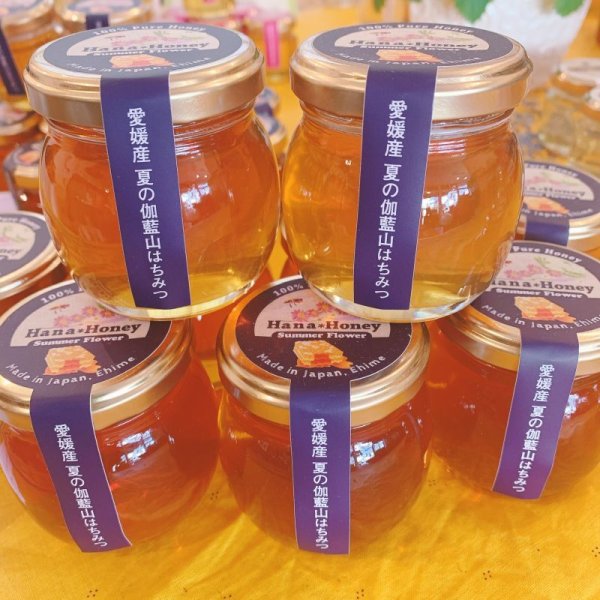 画像2: 夏の伽藍山はちみつ 120g (2)