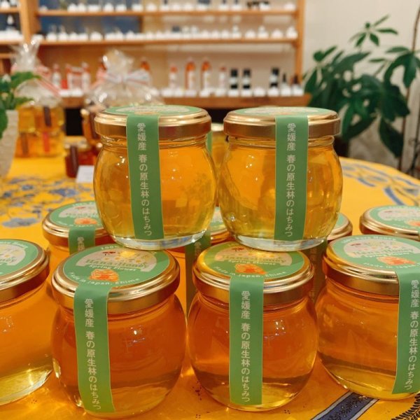 画像2: 春の原生林はちみつ 120g (2)