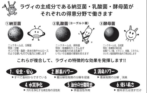 画像3: ラヴィ 800ml (3)