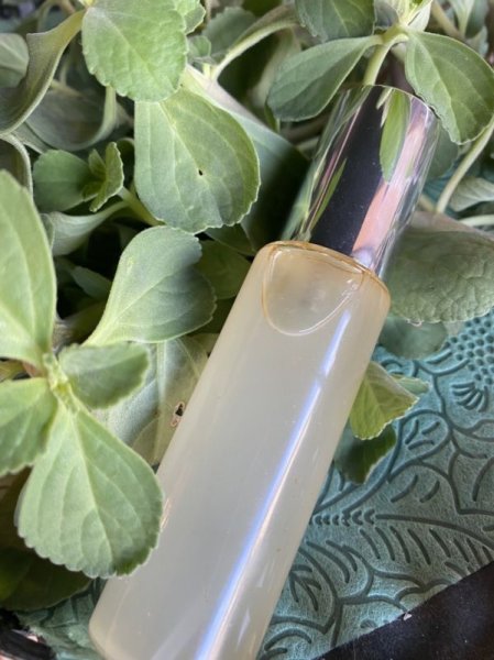 画像3: プロポリス のどスプレー 30ml (3)