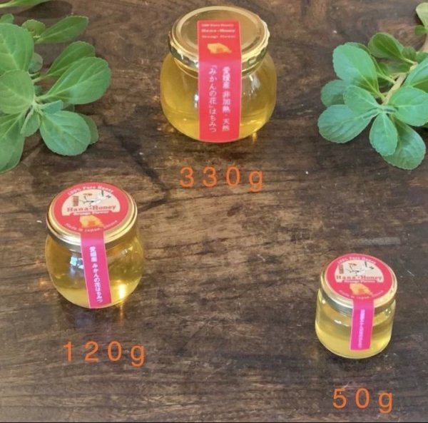 画像3: アカシアの天然はちみつ 330g (3)